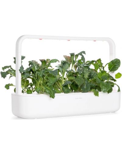 Semințe Click and Grow - Italian Kale, 3 rezerve - 4