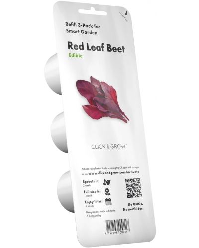 Semințe Click and Grow - Red leaf beet, 3 rezerve - 1