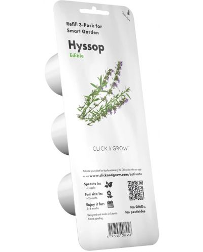 Semințe Click and Grow - Hyssop, 3 rezerve - 1