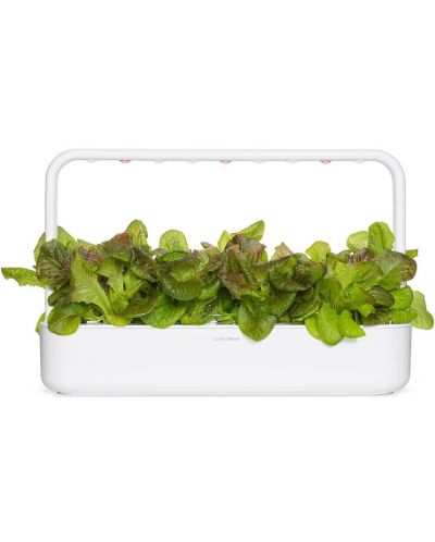 Semințe Click and Grow - Salată roșie, 3 rezerve - 4