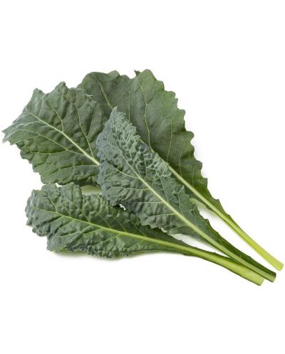 Semințe Click and Grow - Italian Kale, 3 rezerve - 2