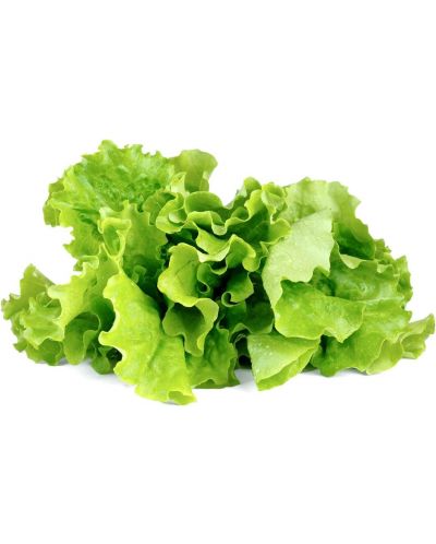 Semințe Click and Grow - Salata verde, 3 rezerve - 2