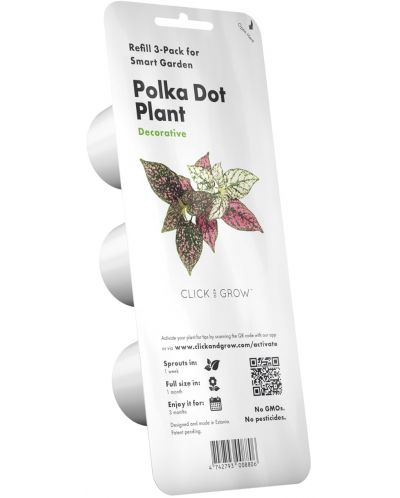 Semințe Click and Grow - Polka Dot plant, 3 rezerve - 1