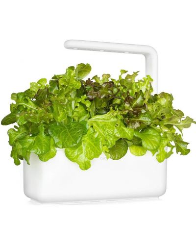 Semințe Click and Grow - Salata verde rosie Frunza de stejar, 3 rezerve - 3