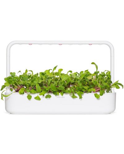 Semințe Click and Grow - Leaf radish, 3 rezerve - 6