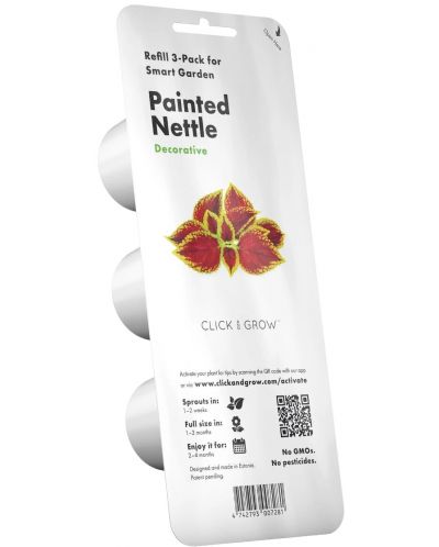 Semințe Click and Grow - Painted Nettle, 3 rezerve - 1