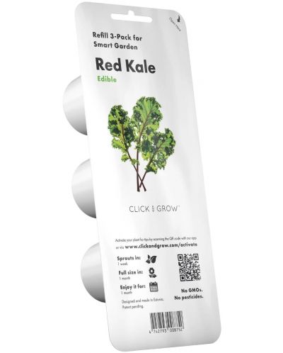 Semințe Click and Grow - Red kale, 3 rezerve - 1