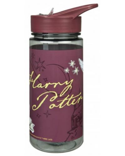 Sticlă de apă Undercover Scooli - Harry Potter, Aero, 500 ml - 2