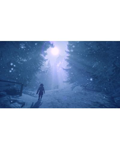 Skabma: Snowfall (PS4) - 9