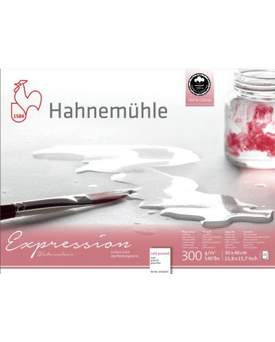 Bloc de schițe Hahnemuhle Expression - 30 x 40 cm, hârtie presată la rece, 20 coli - 1