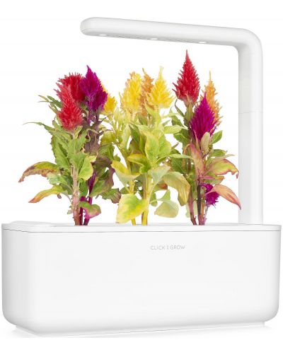 Smart ghiveci Click and Grow - Smart Garden 3, 8W, alb - 5