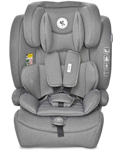 Scaun auto Lorelli - Rio, i-Size, IsoFix, 76-150 cm, Grey - 2