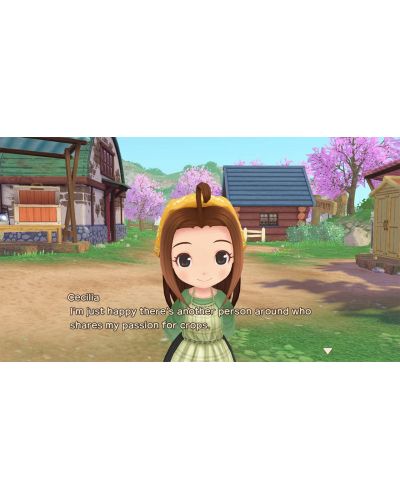 Story of Seasons: A Wonderful Life - Limited Edition (Nintendo Switch) - 5