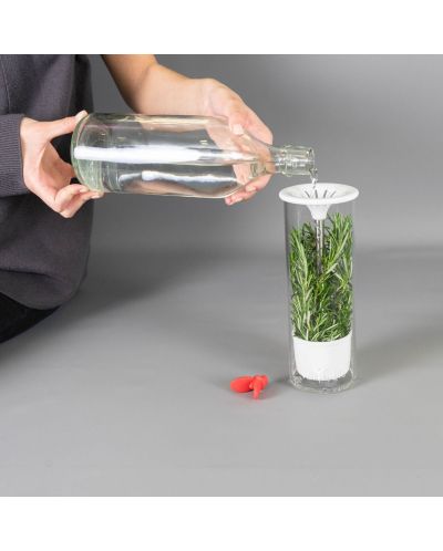 Recipient din sticlă pentru depozitarea condimentelor proaspete Veritable - 25,5 x 9,5 cm - 3