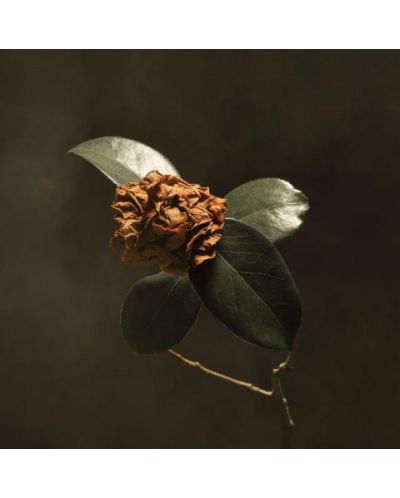 St. Paul & The Broken Bones - Young Sick Camellia (CD) - 1