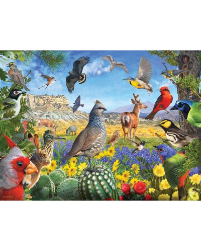 Puzzle SunsOut de 1000 piese - R. Christopher Vest, Texas Birds - 1