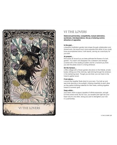 Tarot of Tales: A folk-tale inspired boxed set including a full deck of 78 specially commissioned tarot cards and a 176-page illustrated book - 4