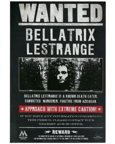 Carnețel CineReplicas Filme: Harry Potter - Se caută Bellatrix Lestrange, format A5 - 1