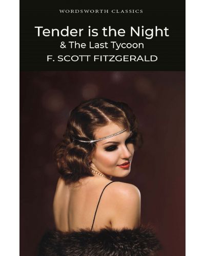 Tender is the Night and The Last Tycoon - 2