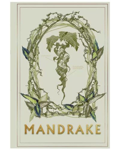 Caiet Moriarty Art Project Movies: Harry Potter - Mandrake	 - 1