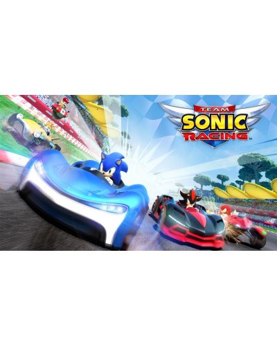 Team Sonic Racing (PS4) - 6