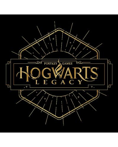 Tricou ABYstyle Movies: Harry Potter - Hogwarts Legacy - 2