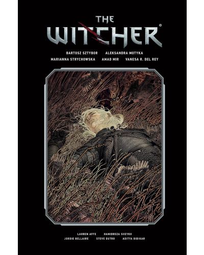 The Witcher Library Edition, Vol. 2 - 1