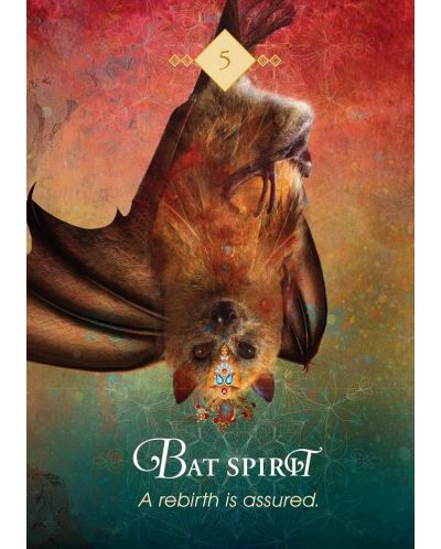 The Spirit Animal Pocket Oracle (68 Cards and Guidebook) - 4
