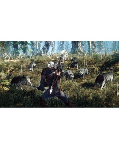 The Witcher 3 Wild Hunt GOTY Edition (Xbox One) - 11