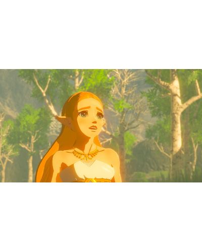 The Legend of Zelda: Breath Of the Wild (Nintendo Switch) - 8