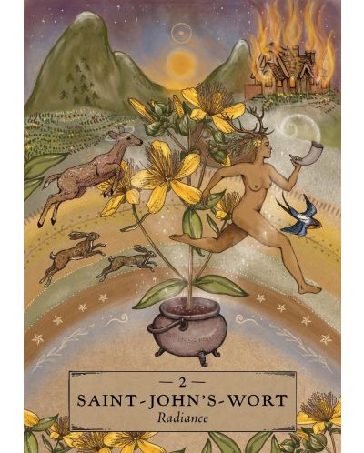 The Herbal Astrology Pocket Oracle (55 Cards and Guidebook) | Ozone.ro