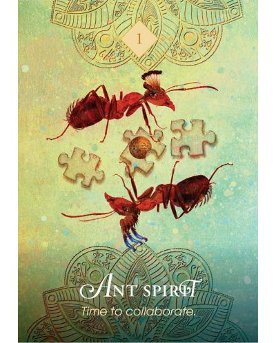 The Spirit Animal Pocket Oracle (68 Cards and Guidebook) - 2