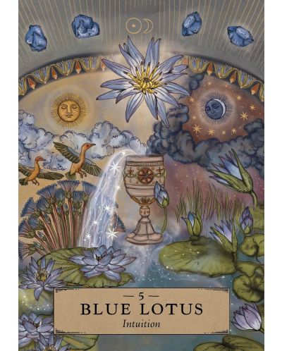 The Herbal Astrology Pocket Oracle (55 Cards and Guidebook) | Ozone.ro