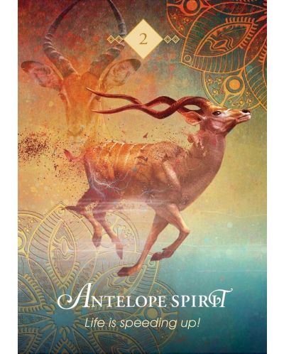 The Spirit Animal Pocket Oracle (68 Cards and Guidebook) - 5