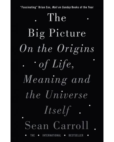 The Big Picture On the Origins of Life, Meaning, and the Universe Itself - 1