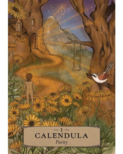 The Herbal Astrology Pocket Oracle (55 Cards and Guidebook) | Ozone.ro