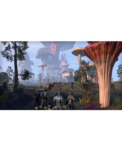 The Elder Scrolls Online: Morrowind (PS4) - 7