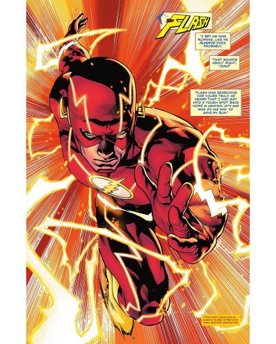 The Flash, Vol. 14: The Flash Age - 3