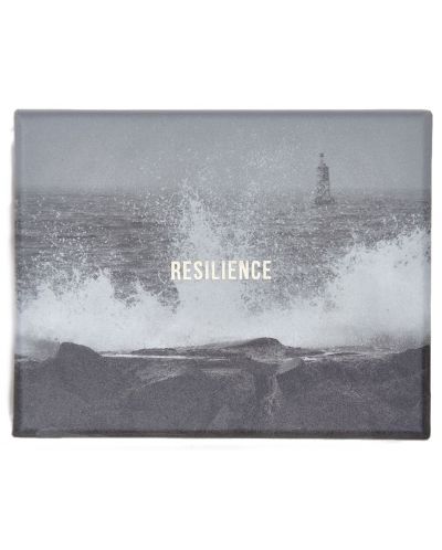 Set de carti The School of Life - Resilience - 1