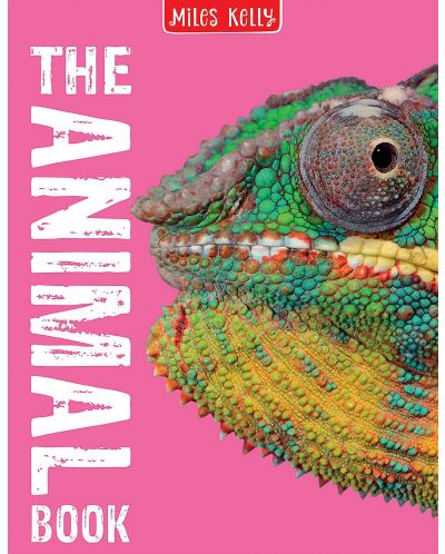 The Animal Book: 160 Pages Packed Full of Amazing Photos and Fantastic Facts (Miles Kelly)	 - 1