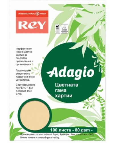 Hartie colorata pentru copiator Rey Adagio - Salmon, A4, 80 g, 100 coli - 1