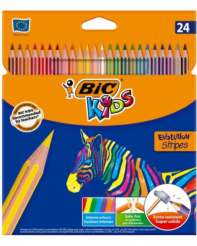 Creioane colorate BIC Kids - Evolution Stripes, 24 culori - 1