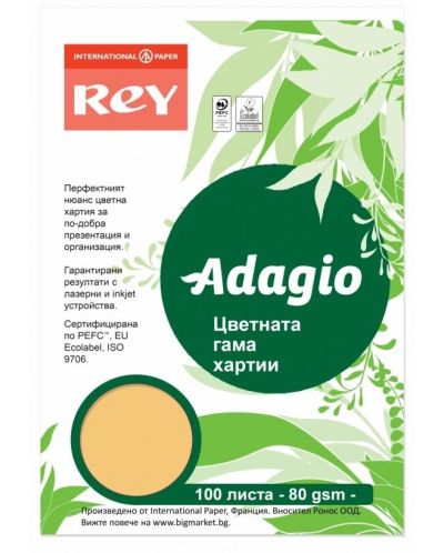 Hartie colorata pentru copiator Rey Adagio - Gold, A4, 80 g, 100 coli - 1