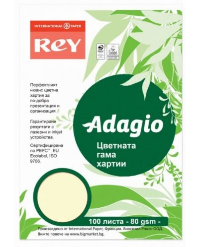Hartie colorata pentru copiator Rey Adagio - Ivory 93, A4, 80 g, 100 coli - 1