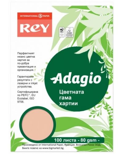 Hartie colorata pentru copiator Rey Adagio - Peach, A4, 80 g, 100 coli - 1