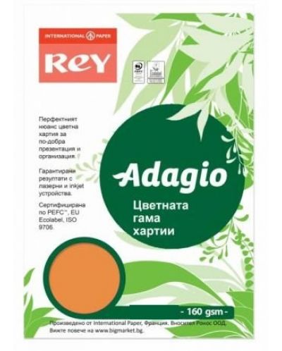 Carton colorat pentru copiator Rey Adagio - Pumpkin, A4, 160 g, 100 coli - 1