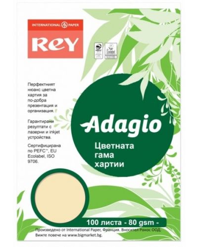 Hartie colorata pentru copiator Rey Adagio - Sand, A4, 80 g, 100 coli - 1