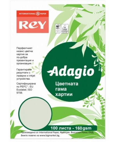 Carton colorat pentru copiator Rey Adagio - Green, A4, 160 g, 100 coli - 1