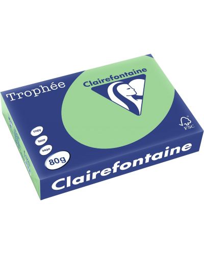 Hârtie color pentru copiator Clairefontaine - A4, 80 g/m2, 100 de coli, Verde natură - 1