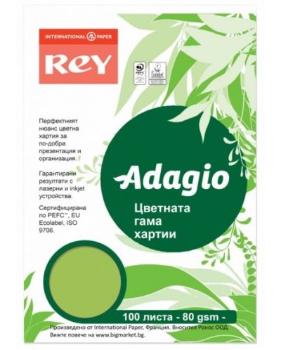 Hartie colorata pentru copiator Rey Adagio - Spring Green, A4, 80 g, 100 coli - 1